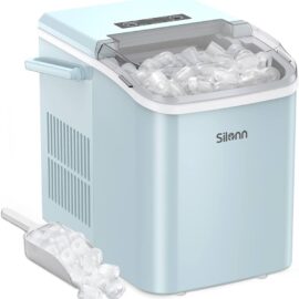 Ice maker